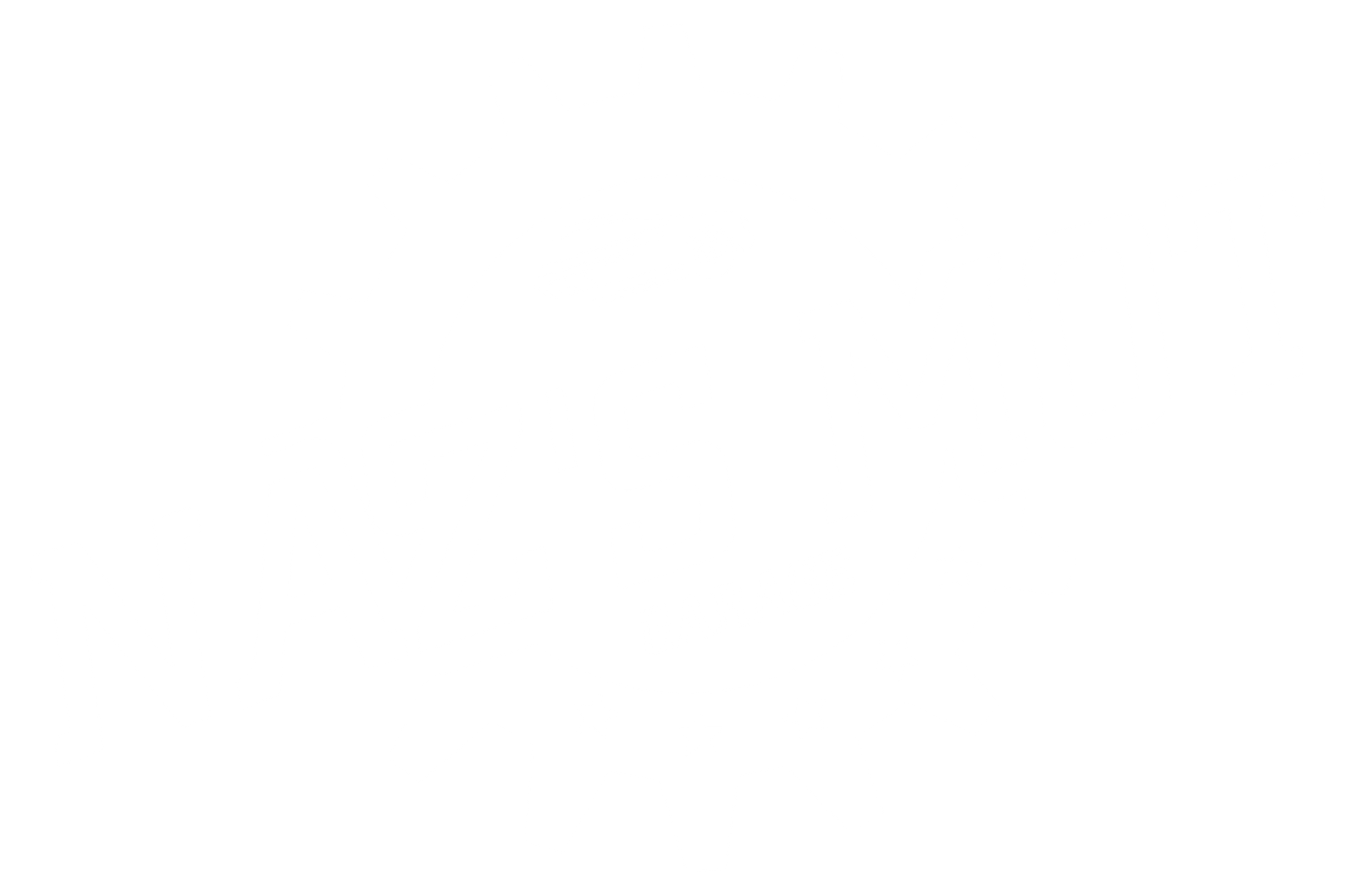 Naz's MOT Garage Logo
